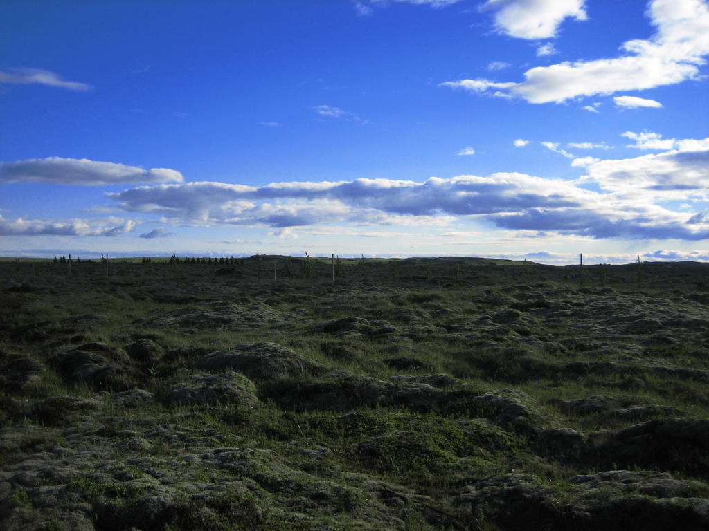 Icelandic Cottages Hraunmork Exterior foto